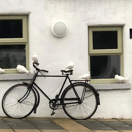 Panzió The Carriage At Beechpark House 4*