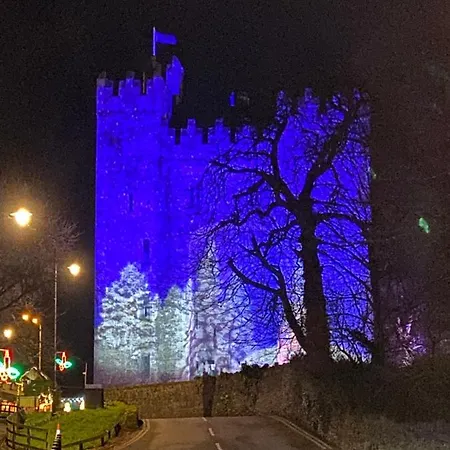 The Carriage At Beechpark House Panzió