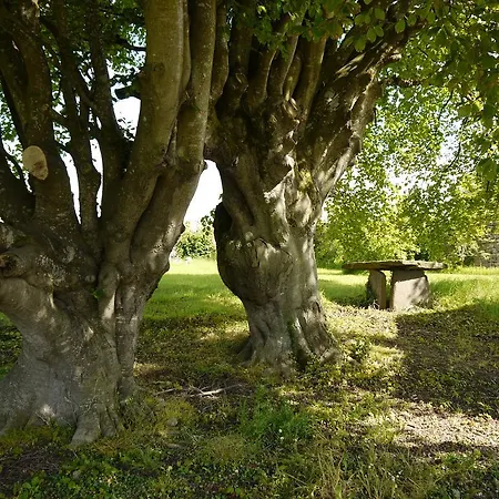 The Carriage At Beechpark House Panzió Bunratty