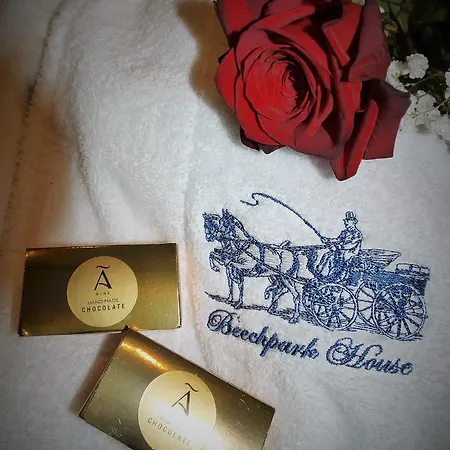 The Carriage At Beechpark House 4* Bunratty