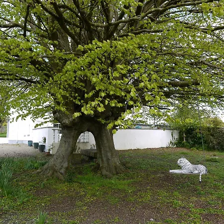 The Carriage At Beechpark House Panzió 4*