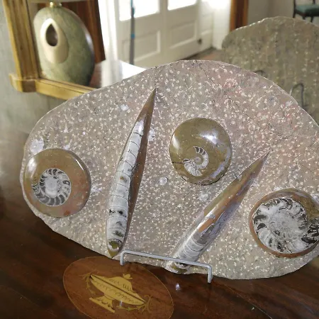 Panzió The Carriage At Beechpark House Bunratty