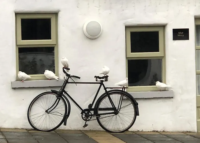 ベッド・アンド・ブレックファスト The Carriage At Beechpark House 4*