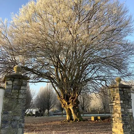 The Carriage At Beechpark House B&B 번래티