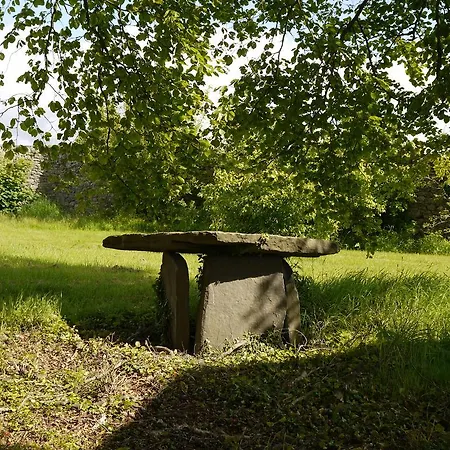 The Carriage At Beechpark House B&B 번래티