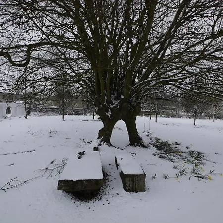 住宿加早餐酒店 The Carriage At Beechpark House 本拉提