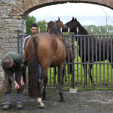 The Carriage At Beechpark House