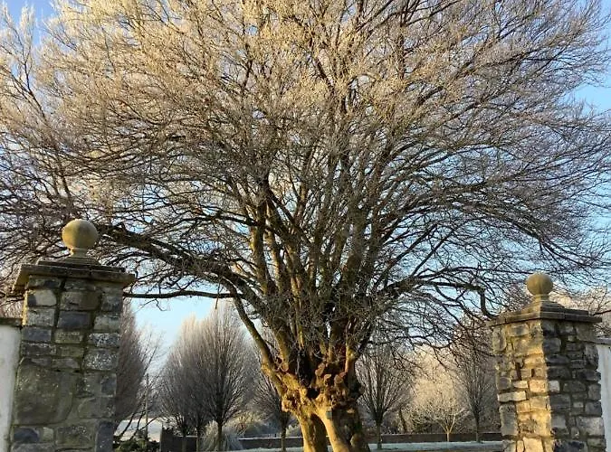 The Carriage At Beechpark House Frühstückspension Bunratty