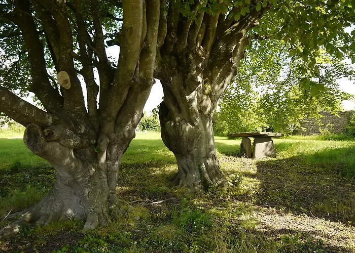 The Carriage At Beechpark House Frühstückspension Bunratty
