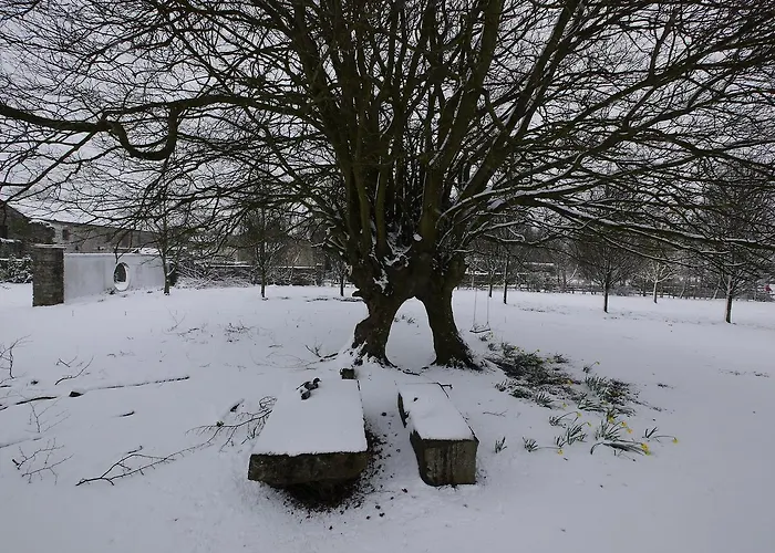 Frühstückspension The Carriage At Beechpark House Bunratty