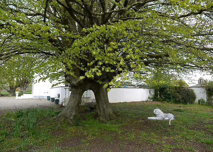 The Carriage At Beechpark House Frühstückspension 4*