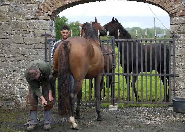 The Carriage At Beechpark House