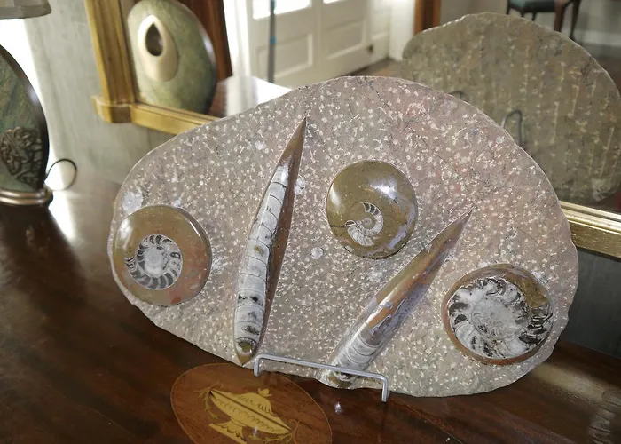 Bed & Breakfast The Carriage At Beechpark House Bunratty